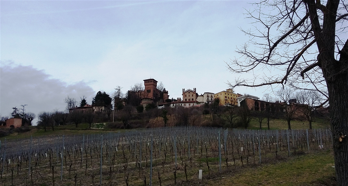 Camminata della Mimosa