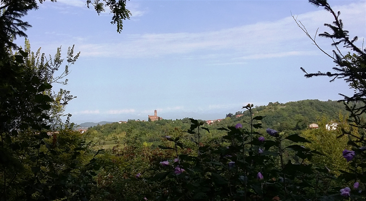 Camminata tra le Colline ombrose della Valcerrina