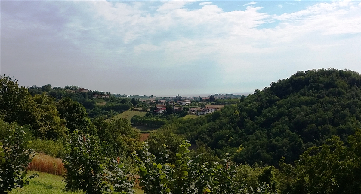 Camminata tra le Colline ombrose della Valcerrina