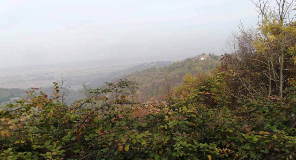 Camminata di Montesion